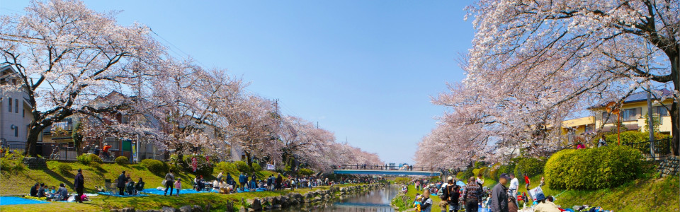 家族や仲間が喜ぶ!燻製など北海道の珍味で楽しむアウトドアごはん