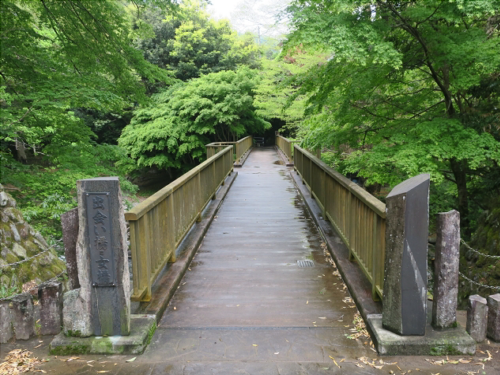 幻想的な蛍に出会える場所♡天城湯ヶ島温泉へ行こう(''◇'')ゞ