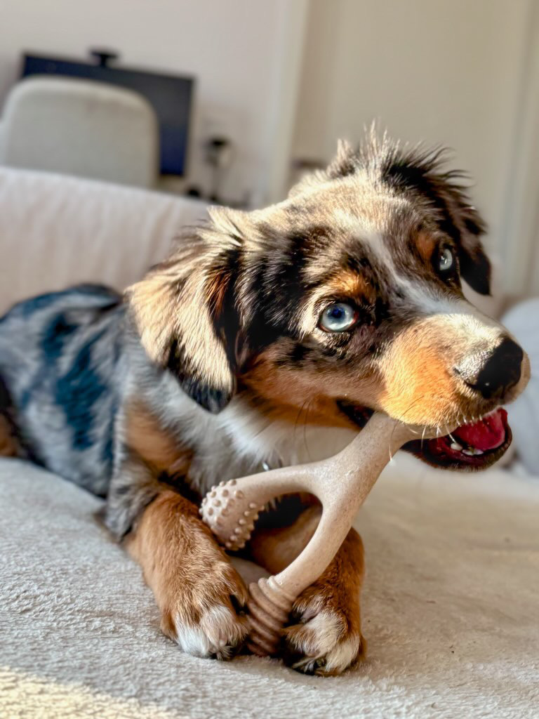 【再入荷&重要なお知らせ】Better Bone 全9種類が勢揃い!2月からの価格改定について