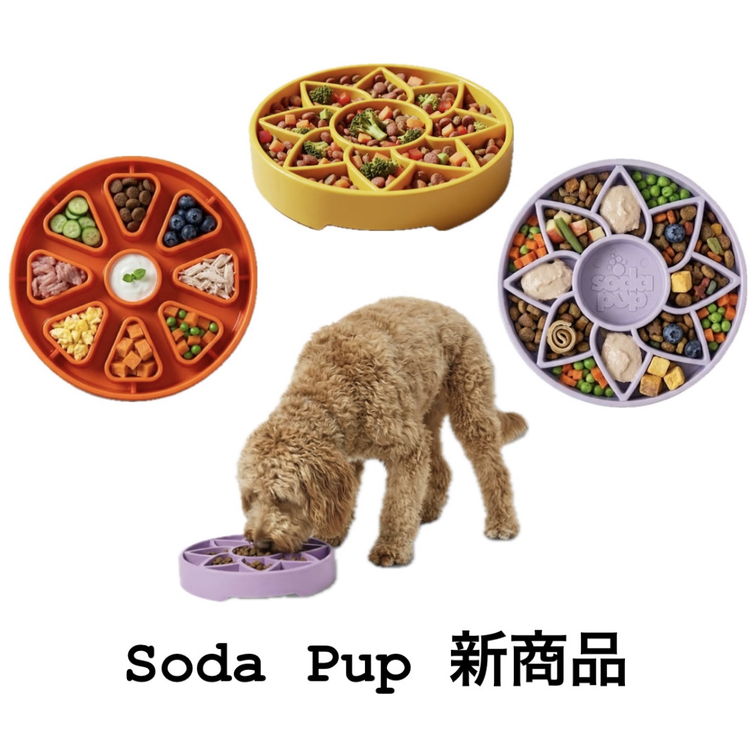 Soda Pup 新商品と予約セールについてのお知らせ