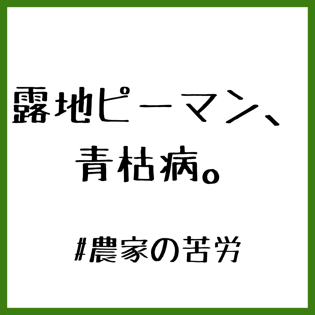 【お知らせ】販売できる数が少なくなります【数量限定販売】