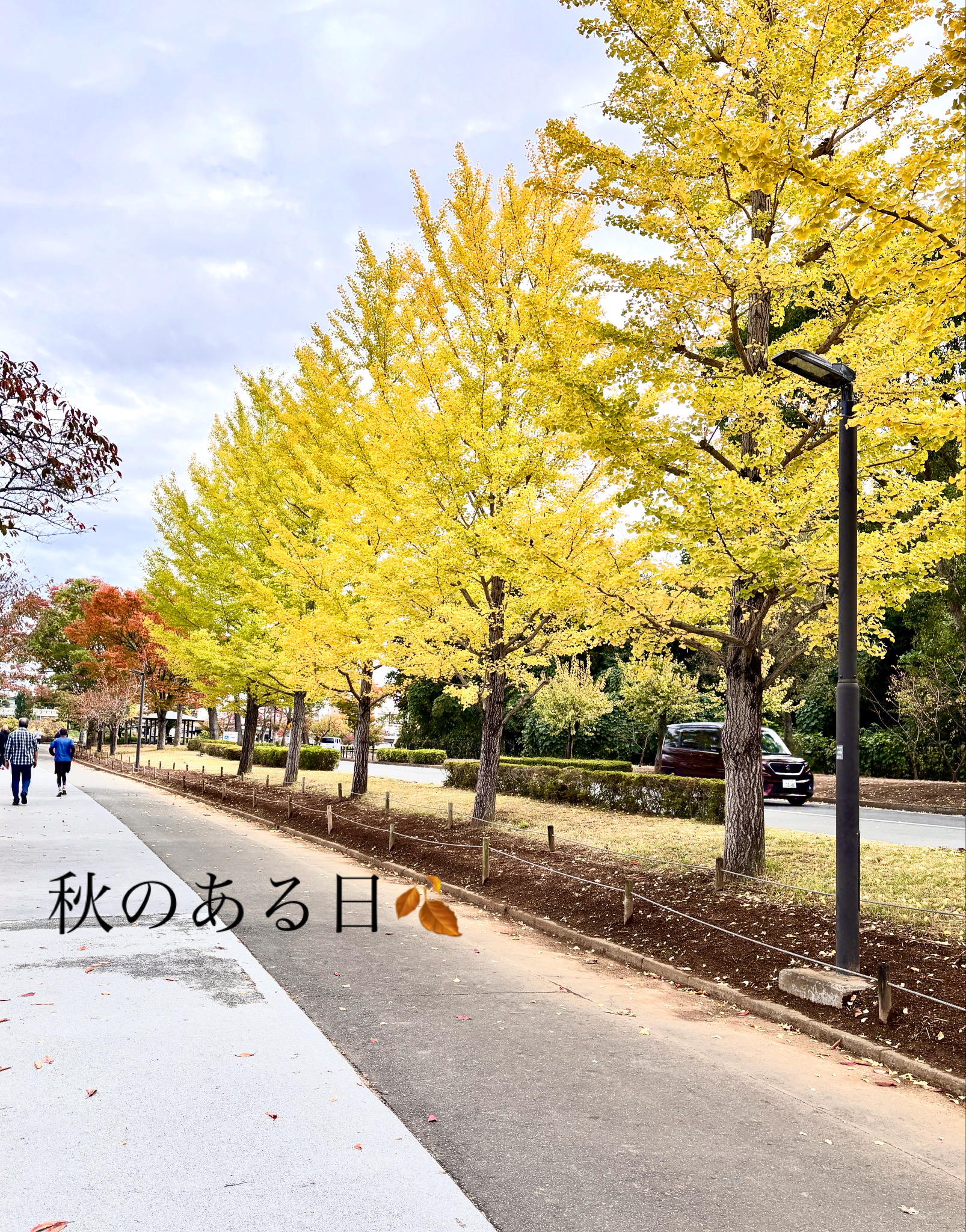 秋本番となりました