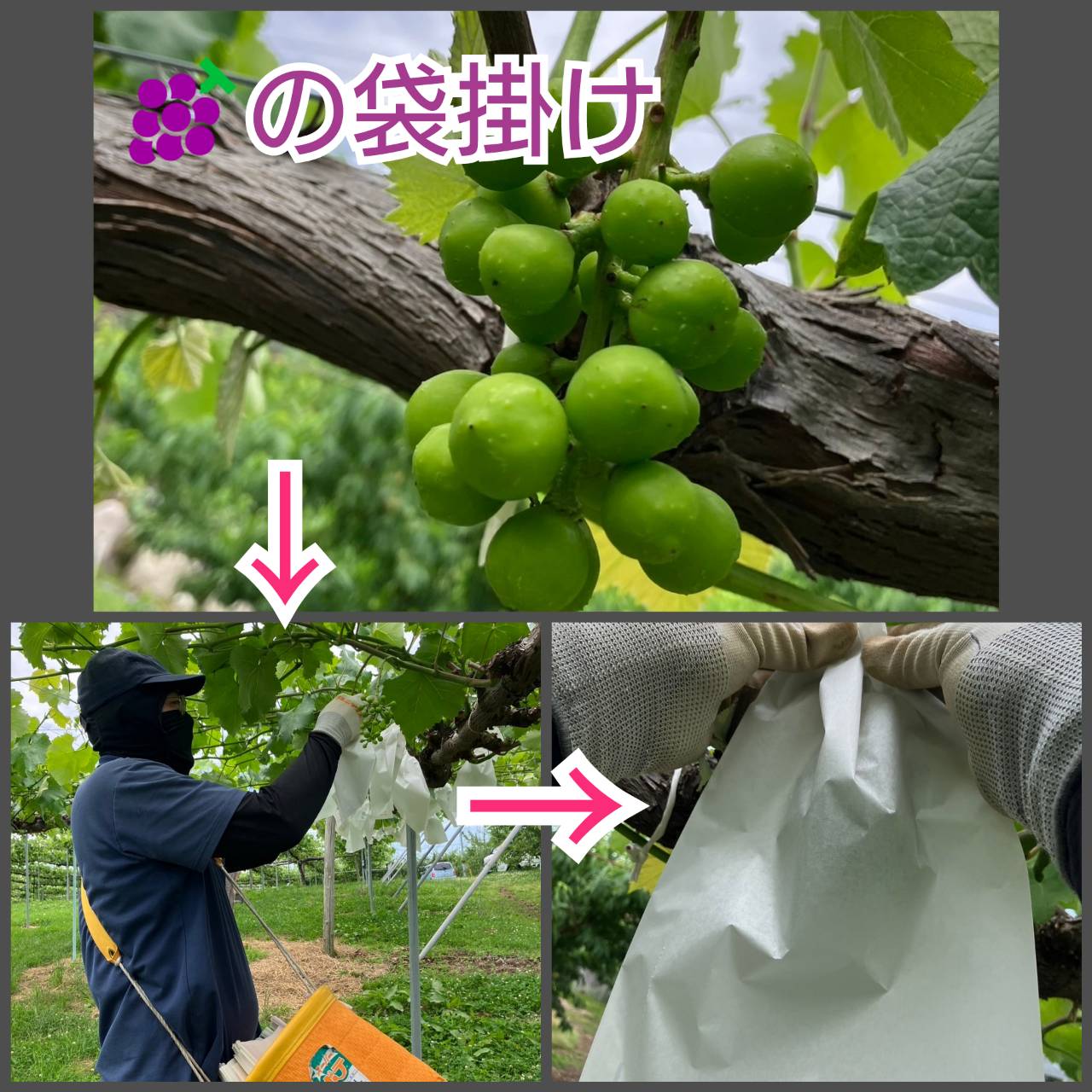 怒涛の6月が終わります