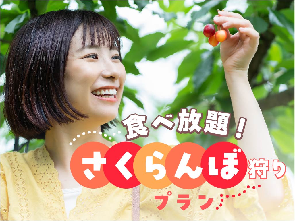 5月20日からさくらんぼ狩りの予約開始です🍒