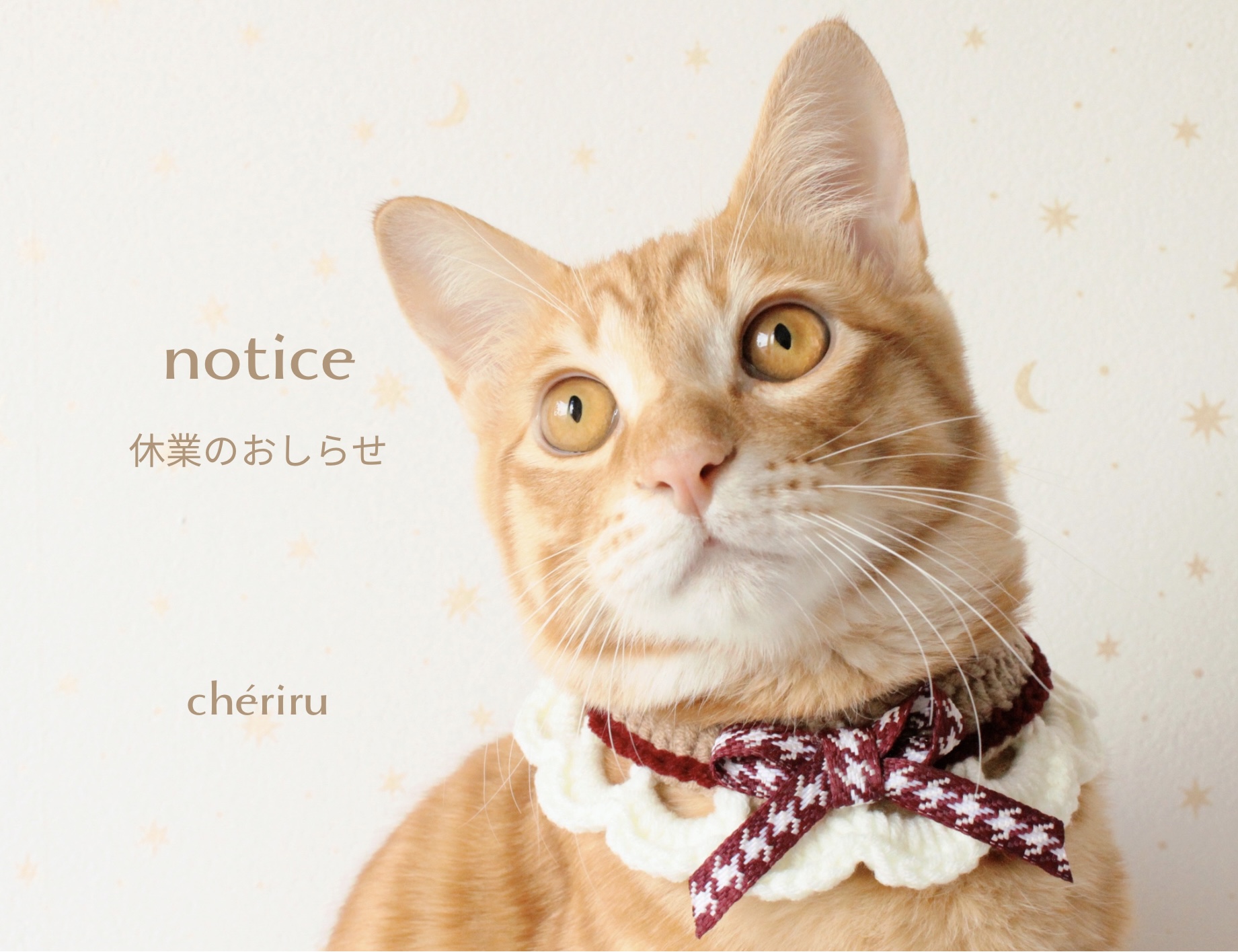 休業のお知らせ