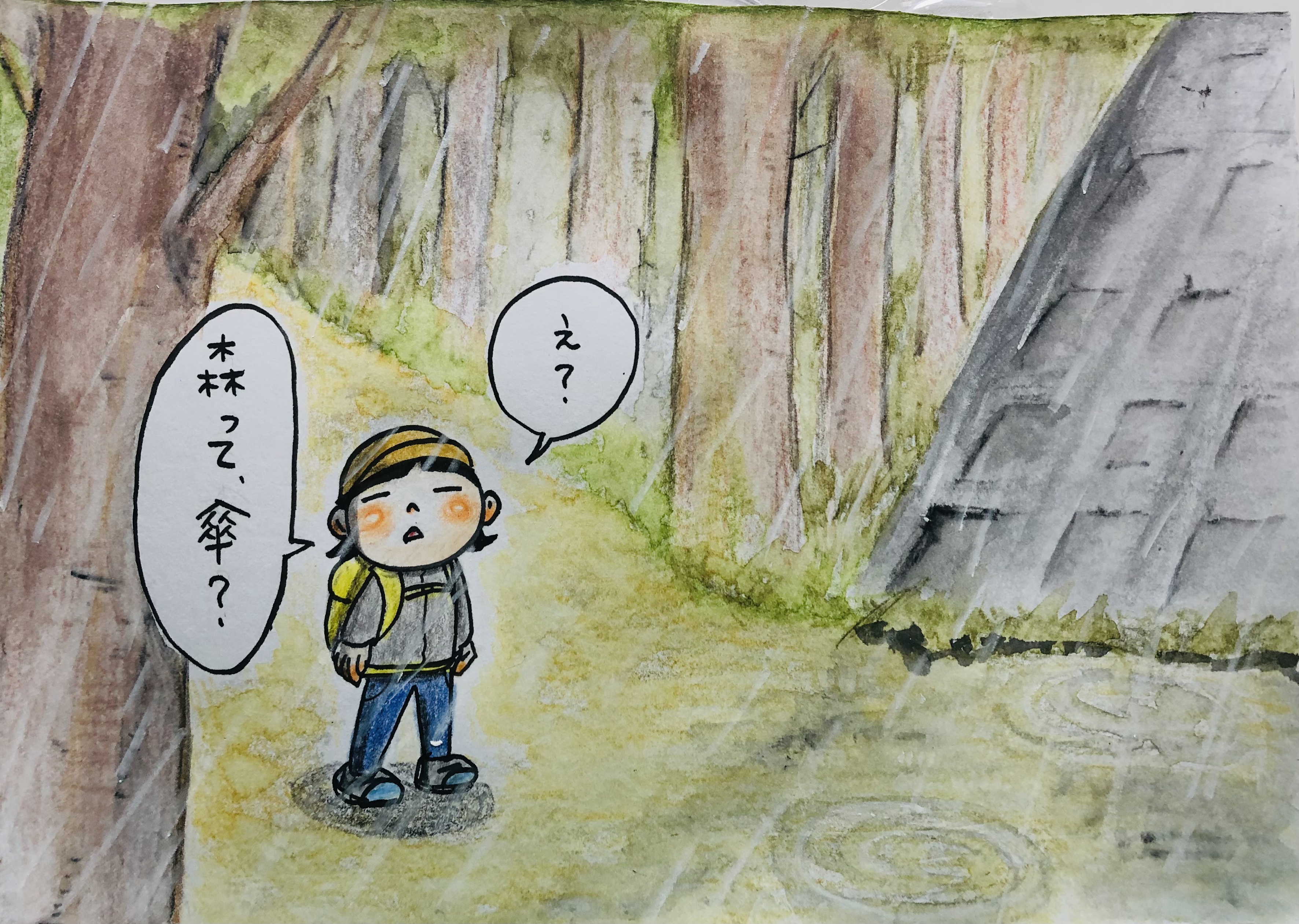山の1コマ『雨の森』