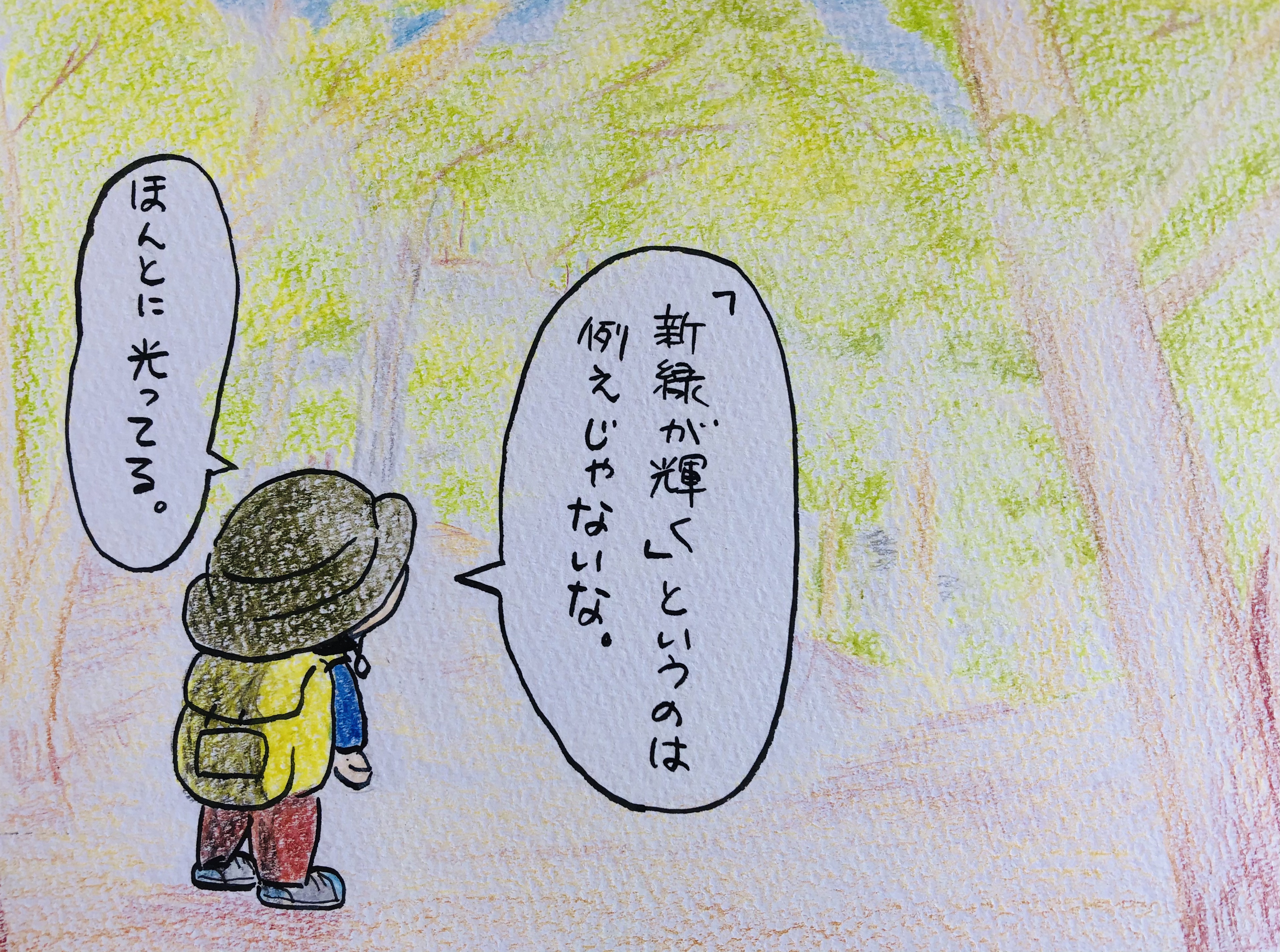 山の1コマ『新緑』