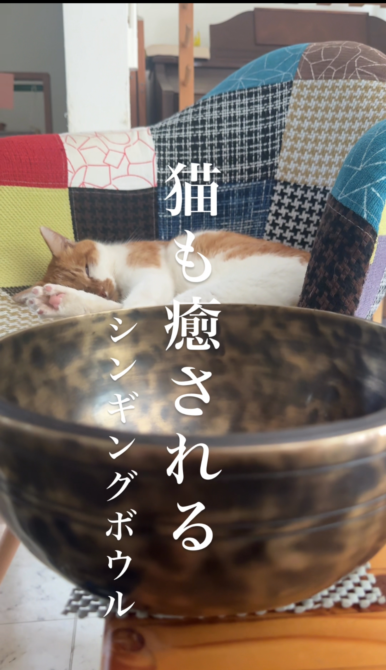 猫も癒されるシンギングボウルの音色｜シンギングボウル専門店MAAYA