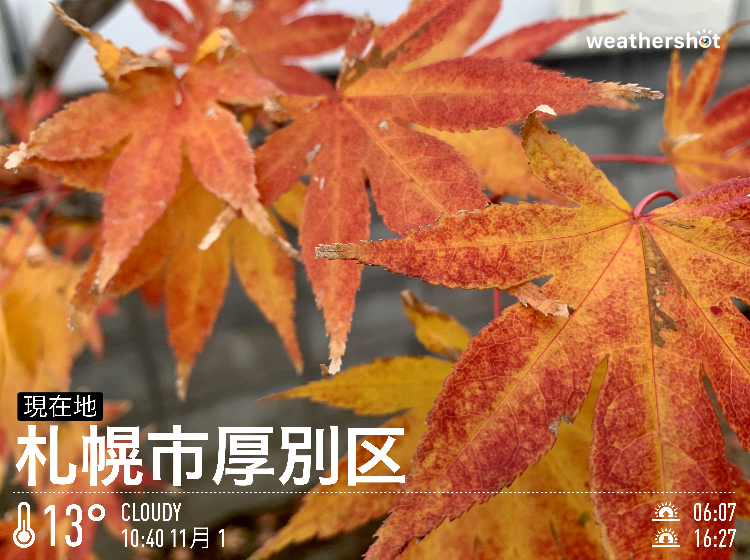 今日は、何の日？