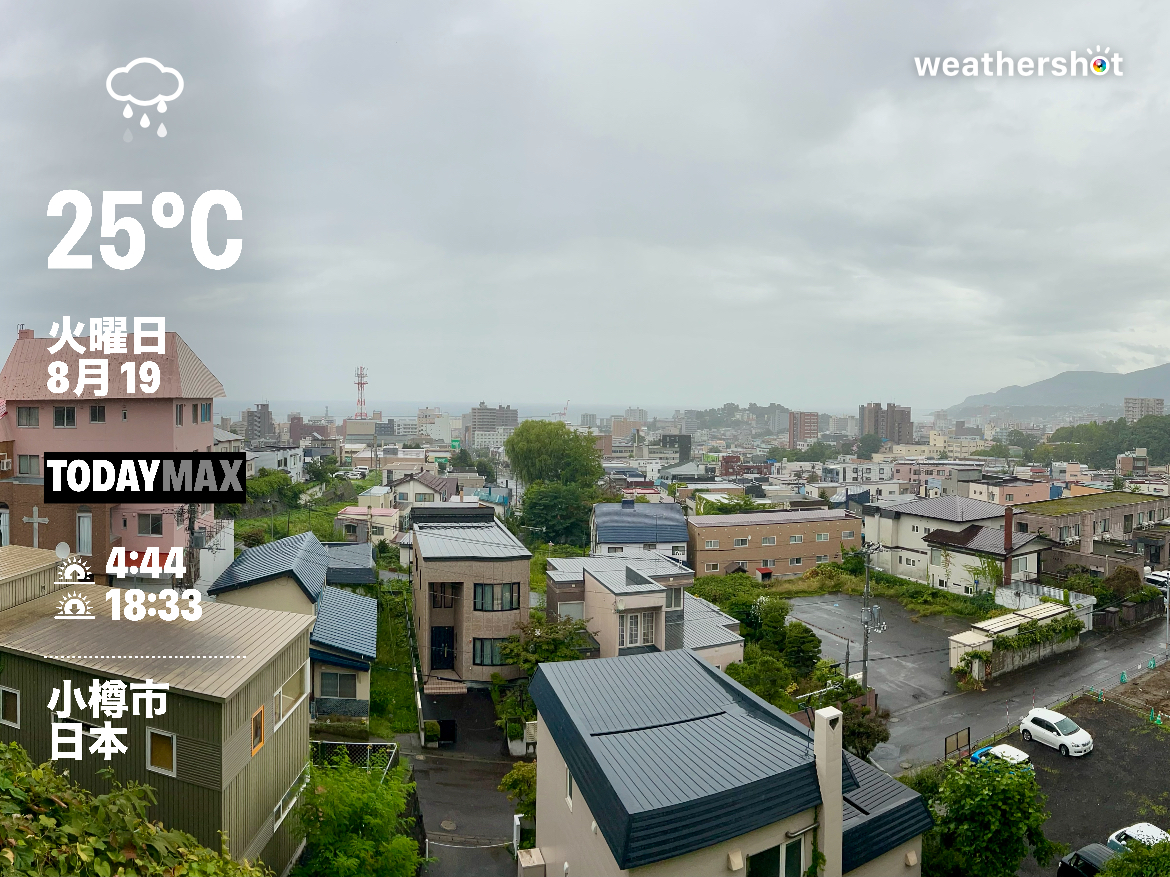 今日の広告コピーは？