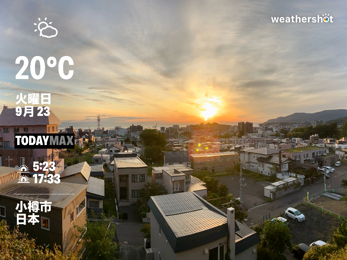 今日の広告コピーは？