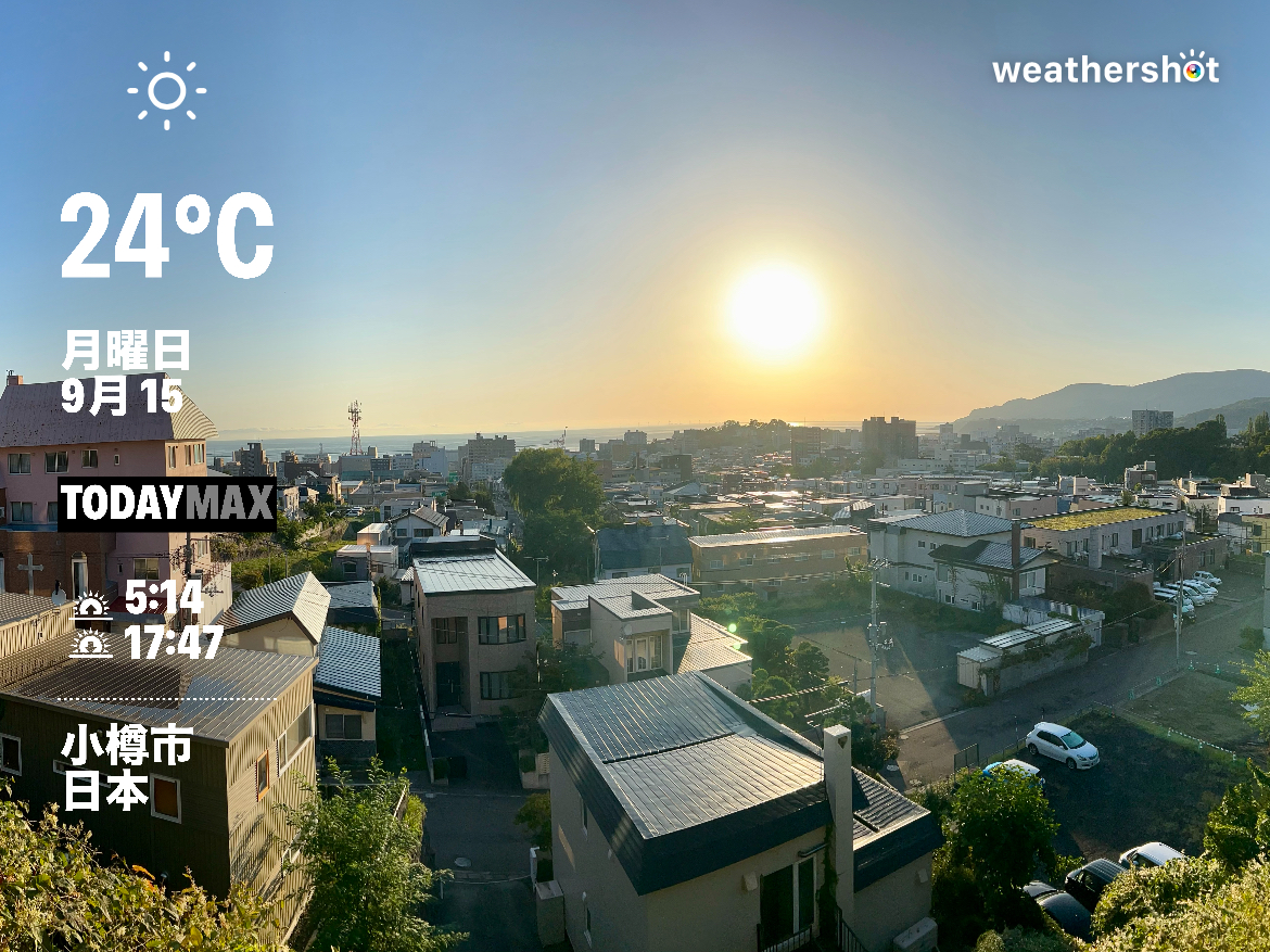 今日の広告コピーは？