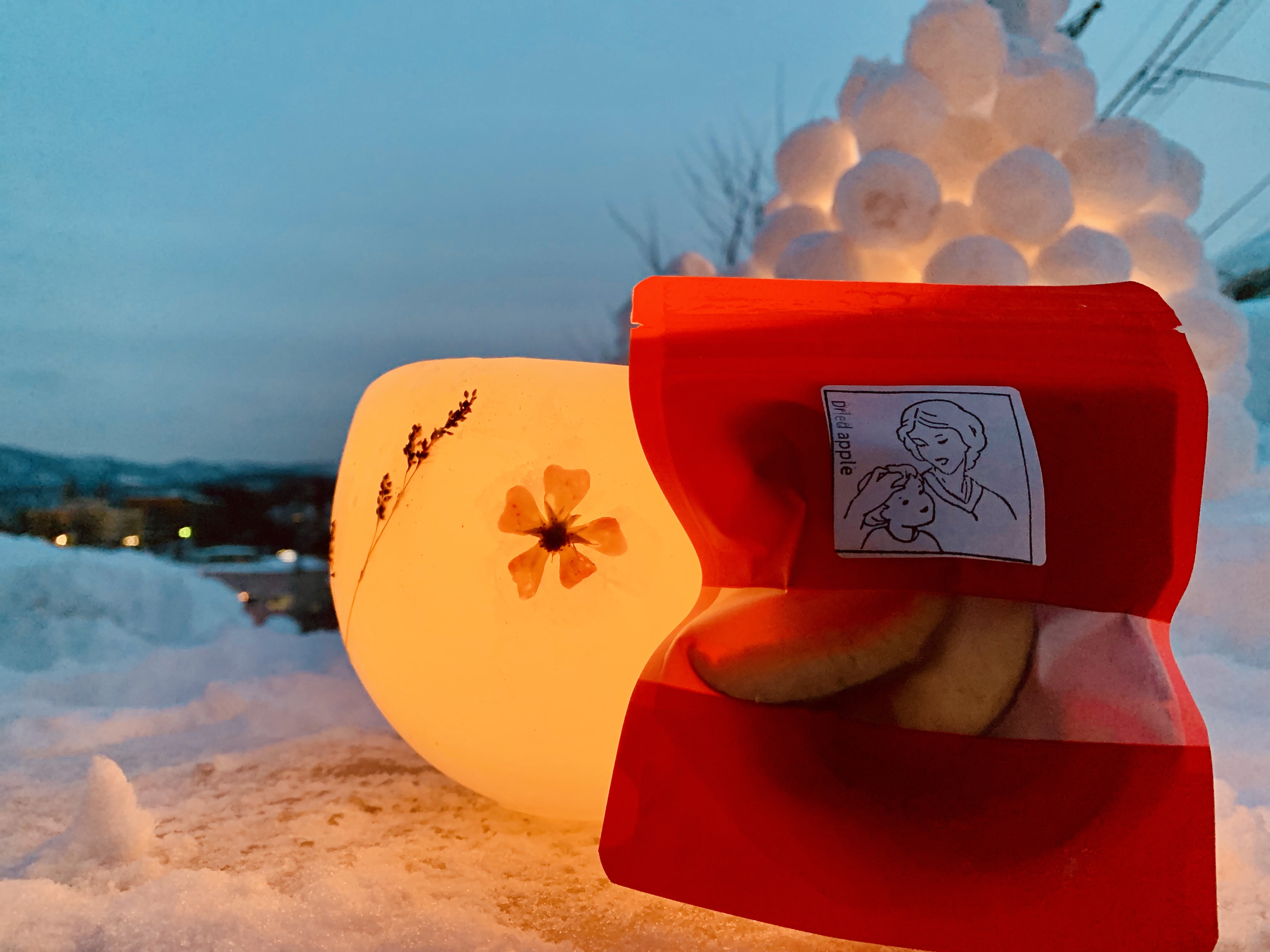 小樽雪あかりの路25 開催！