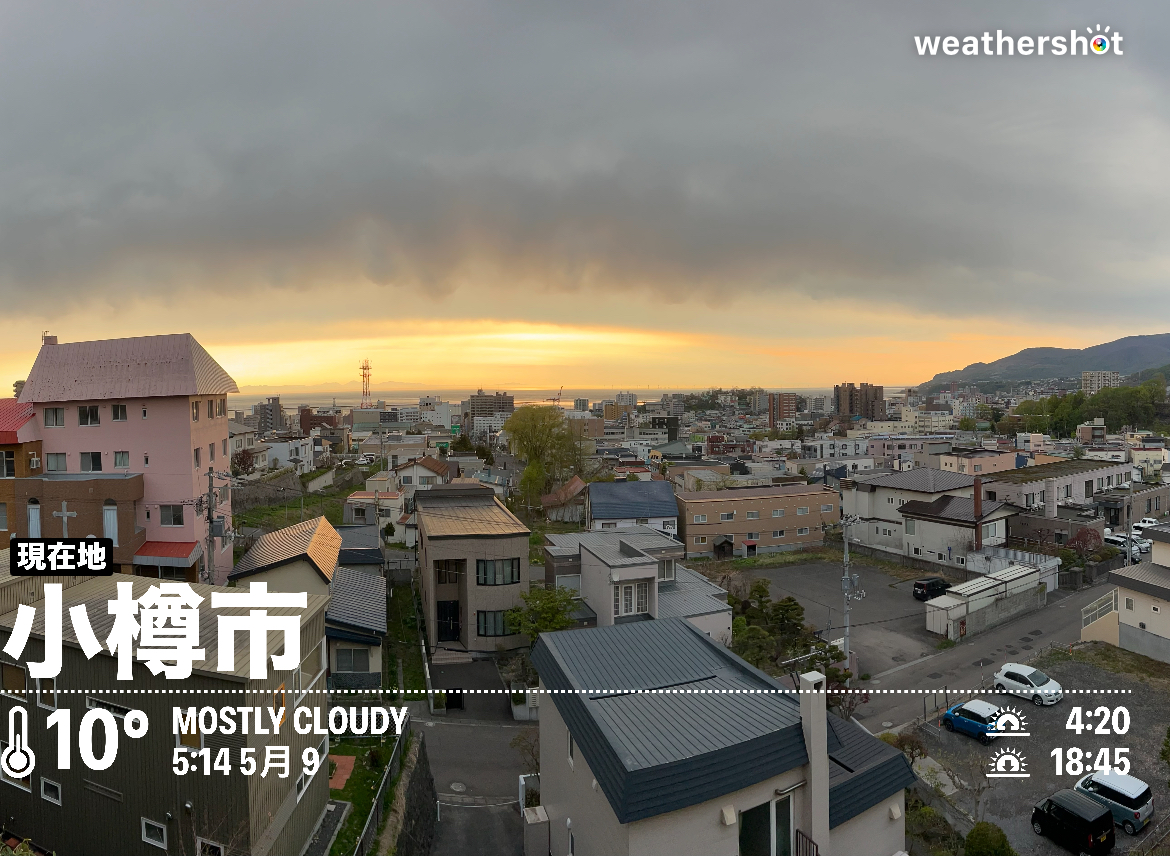 今日の広告コピーは？