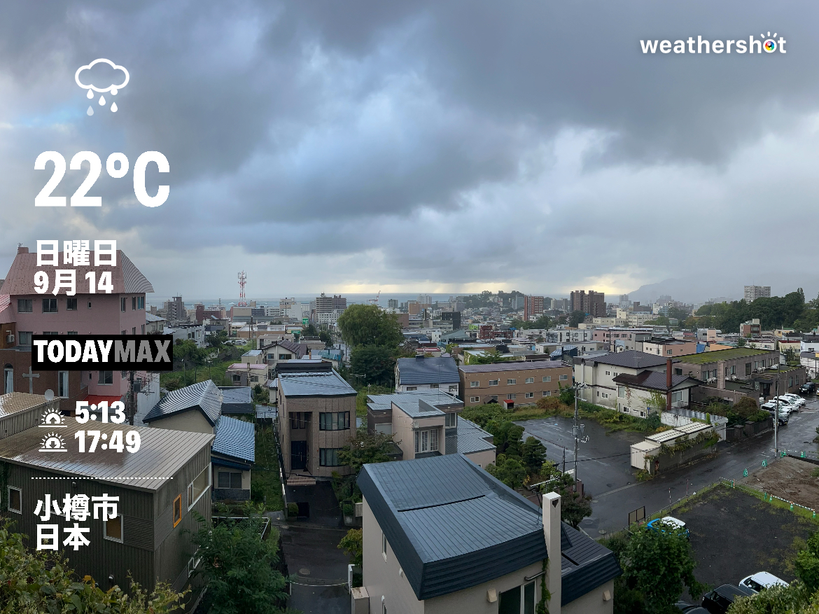 今日の広告コピーは？