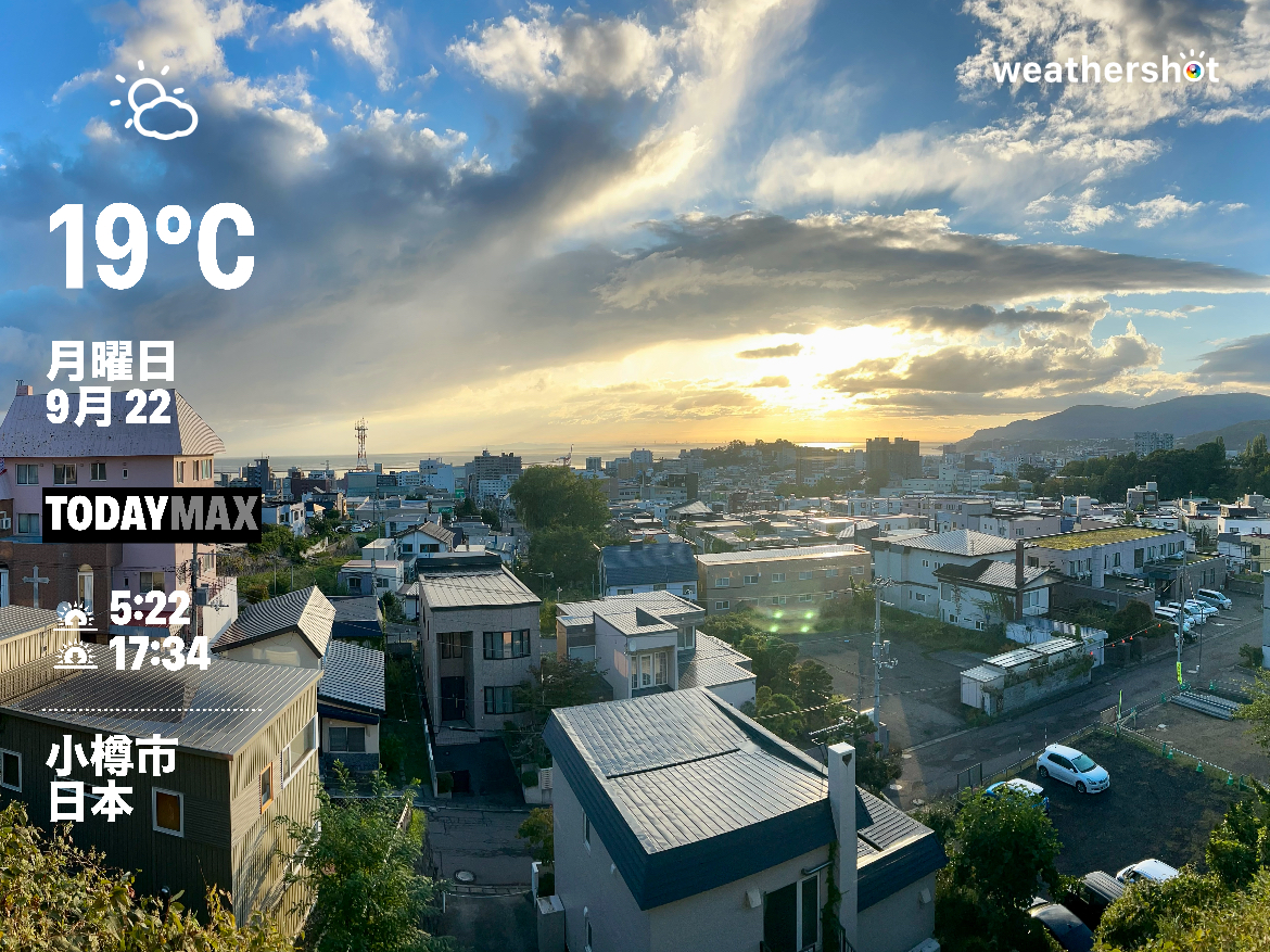 今日の広告コピーは？