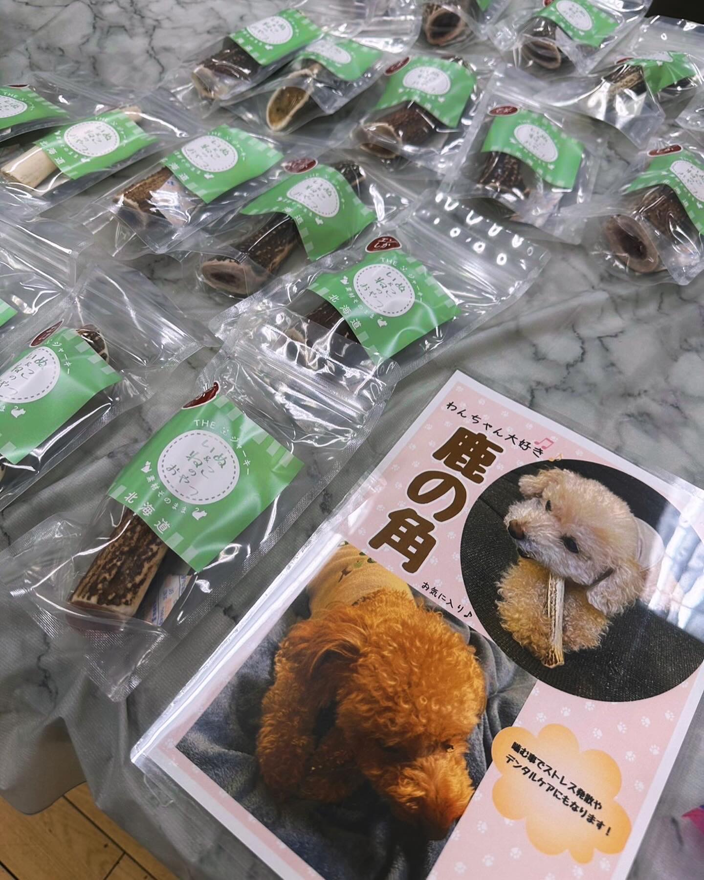 お久しぶりです！