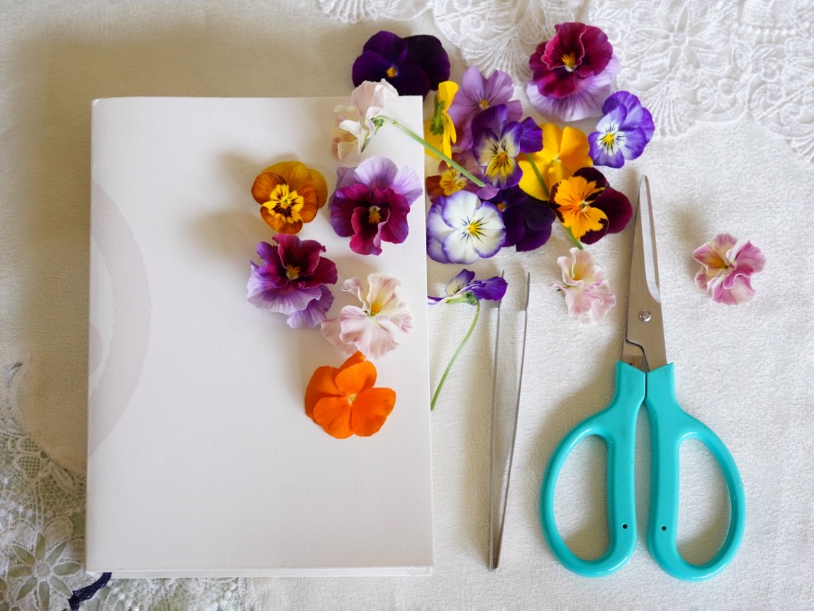 押し花の作り方／How to make pressed flowers