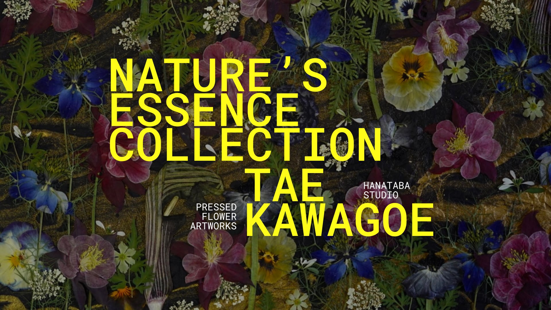 押し花アートの制作過程をリアル体験！／Experience the process