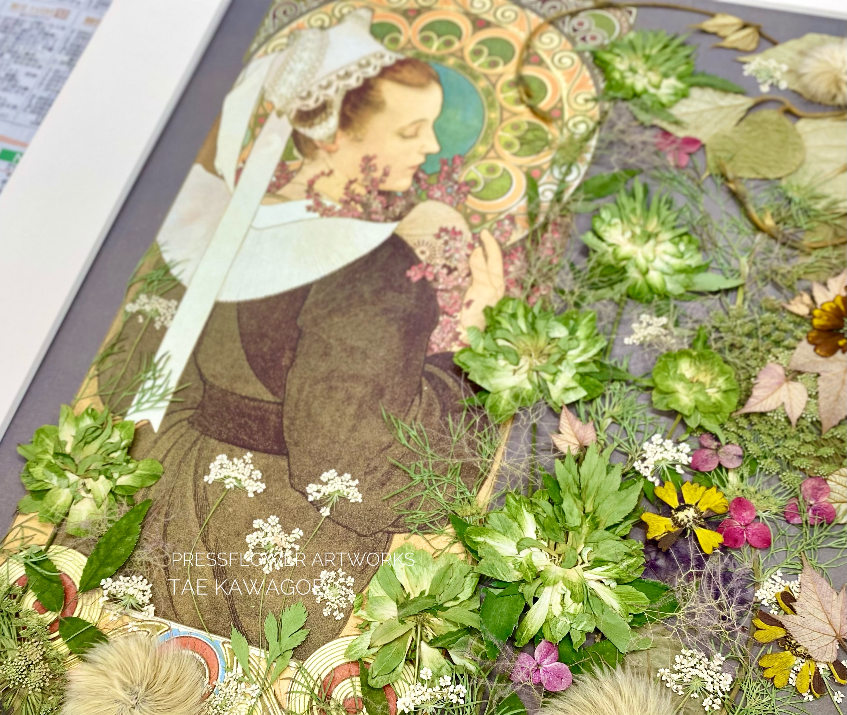 Pressflower Studio Japanの押し花／About pressed flowers