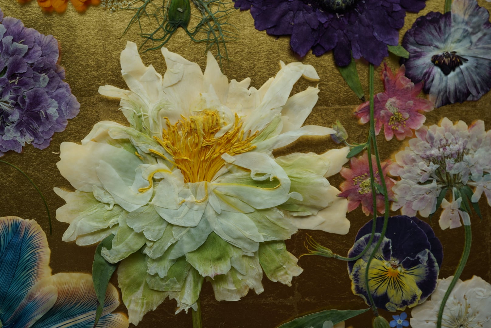 第1回 Flower展 2025／"1st Flower Exhibition 2025"