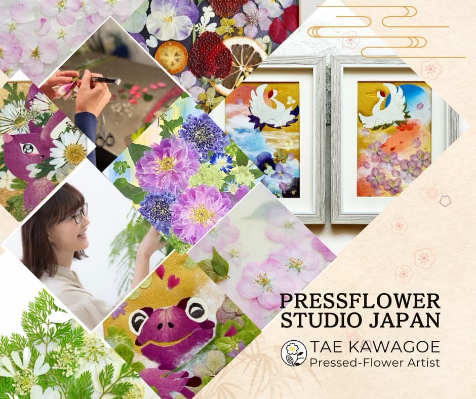 JAPAN EXPOシドニー2024／JAPAN EXPO Sydney 2024