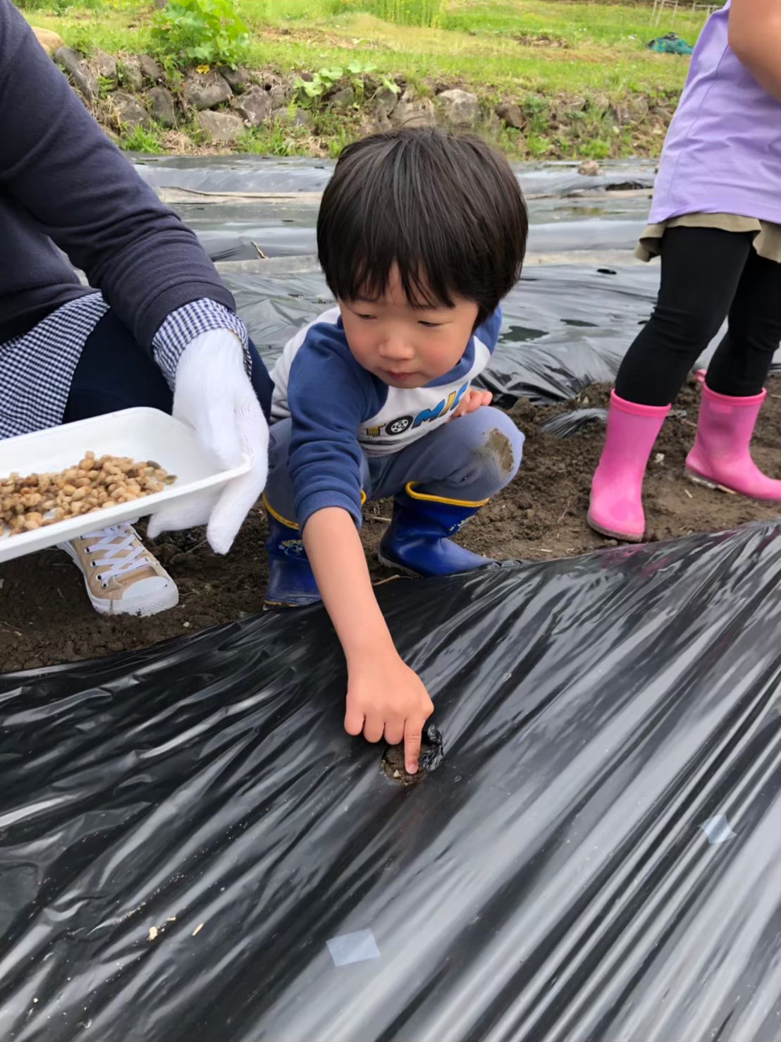 コットン畑の種まき開催しました！