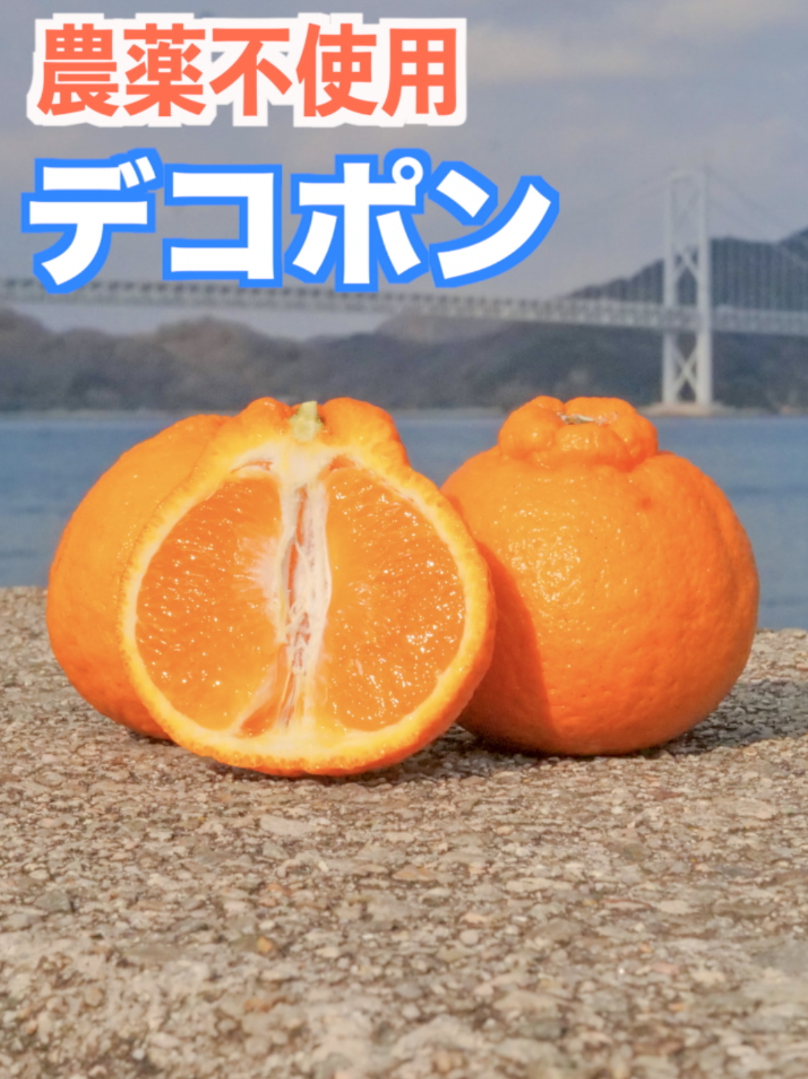 農薬不使用デコポン販売中です！2/18(金)朝8時まで使える10％割引クーポンぜひご利用ください！