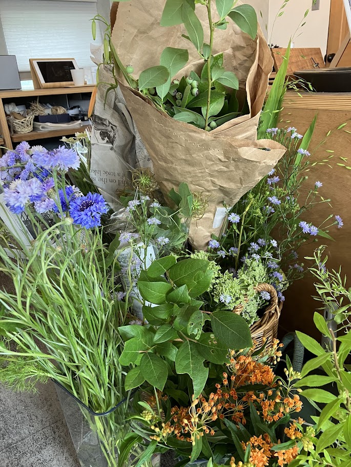 植物に癒されて
