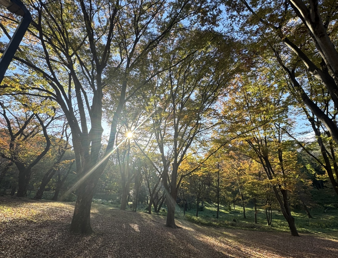 あらためて感じる「友人関係」のこと