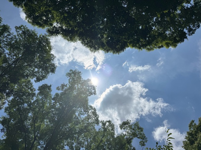整いはじめたわたしと、特別な夏至の光