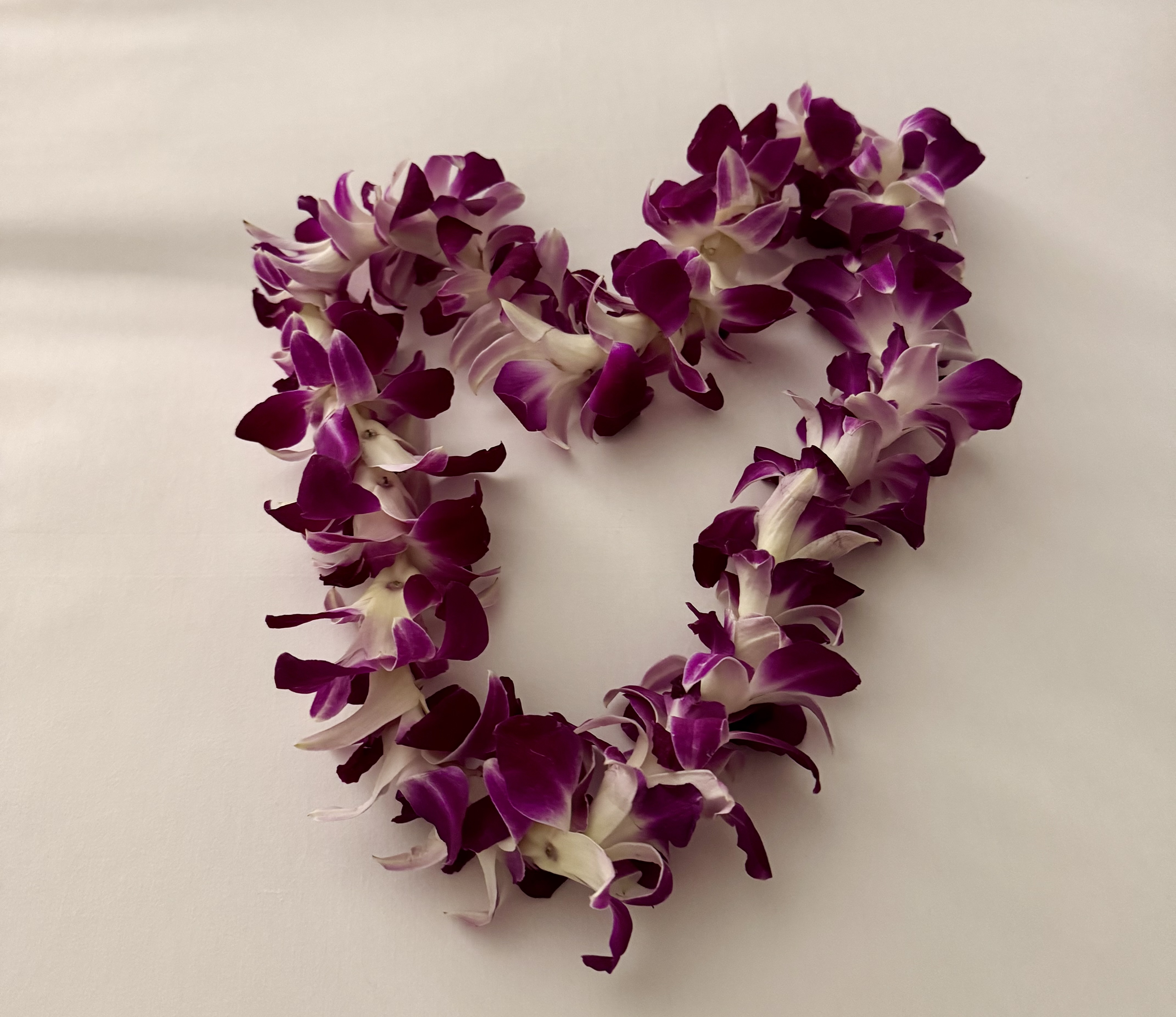 もう逃げるのは、やめた