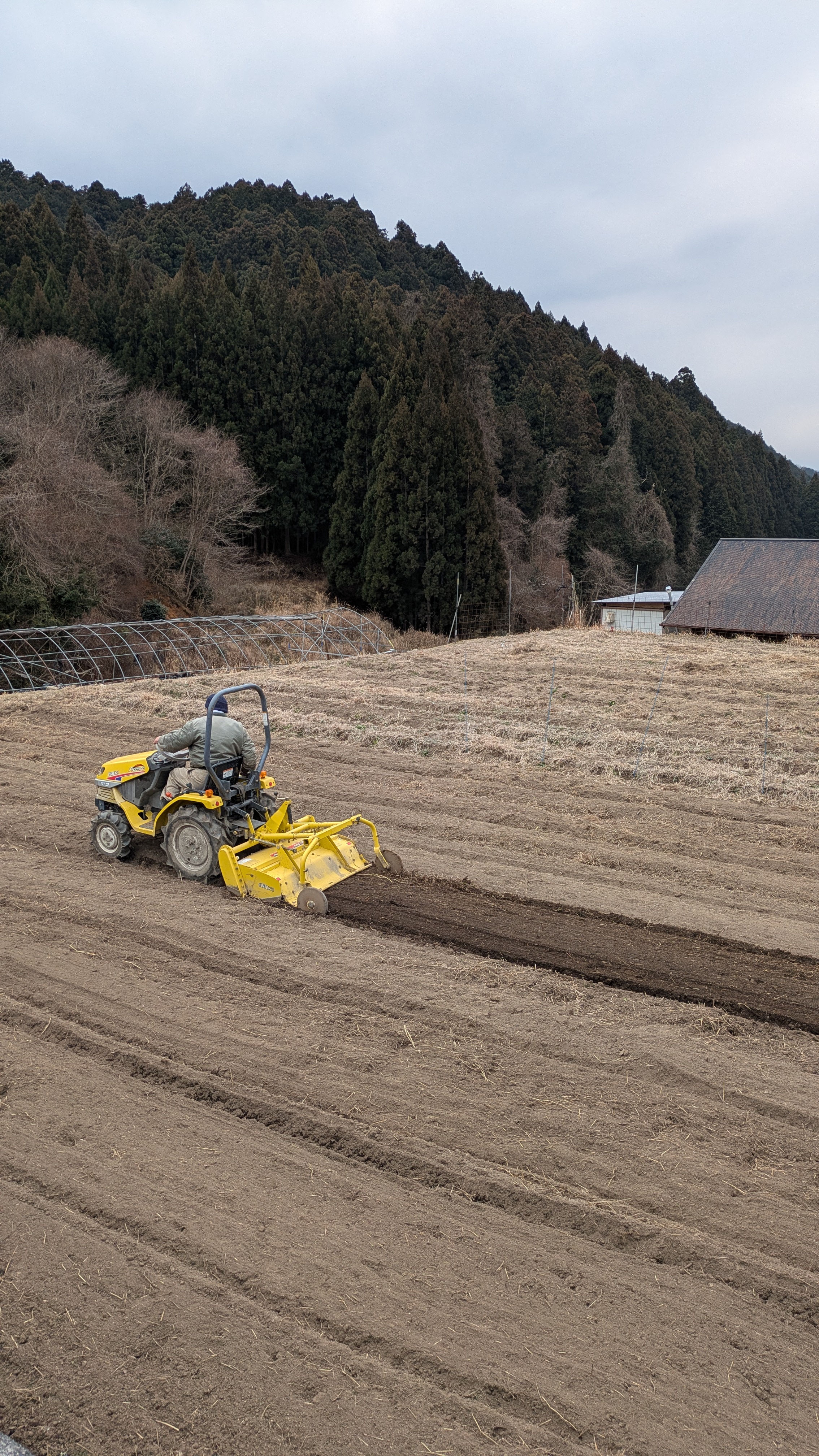 春に向けて 2月