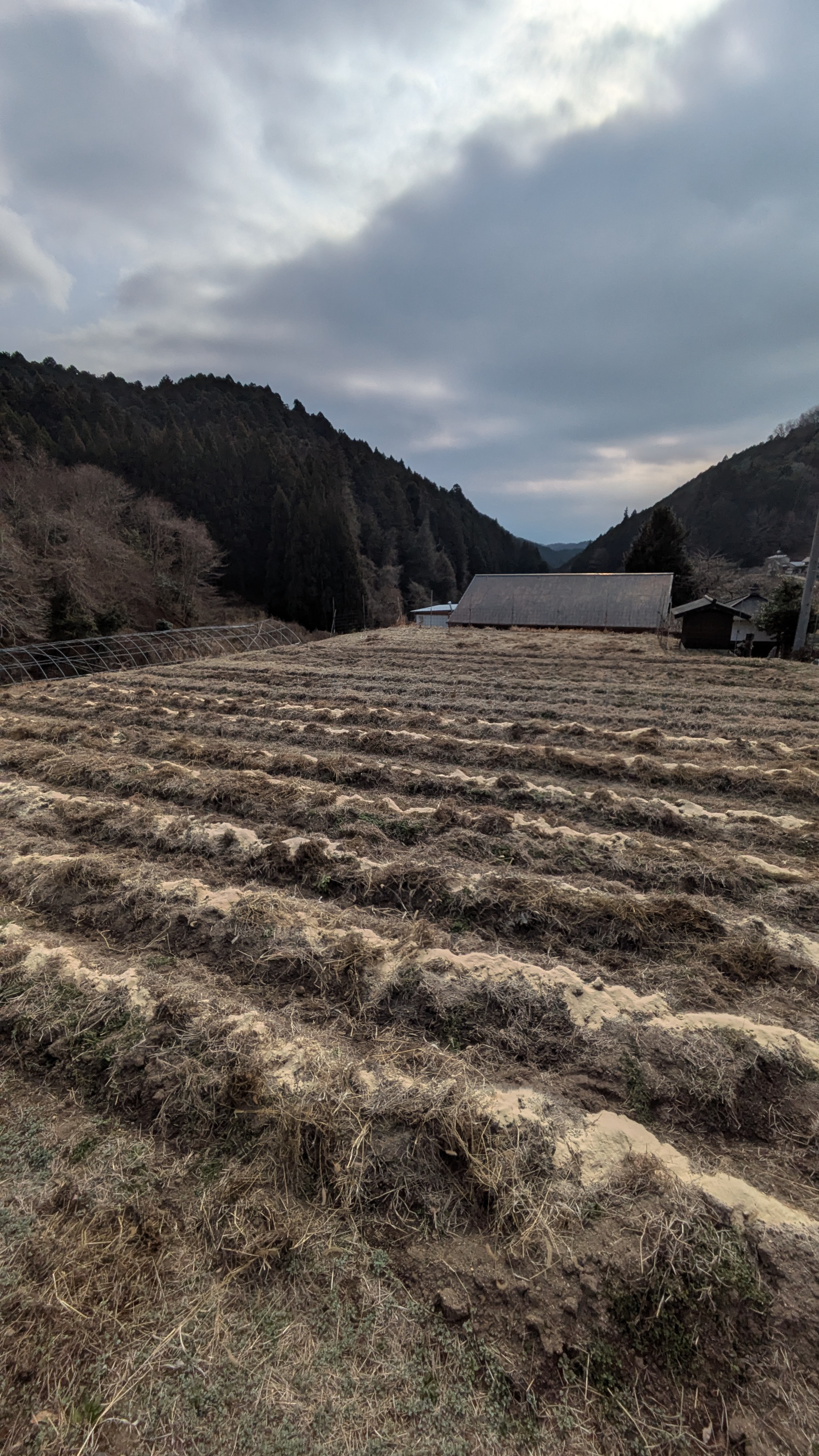 春に向けての土作り