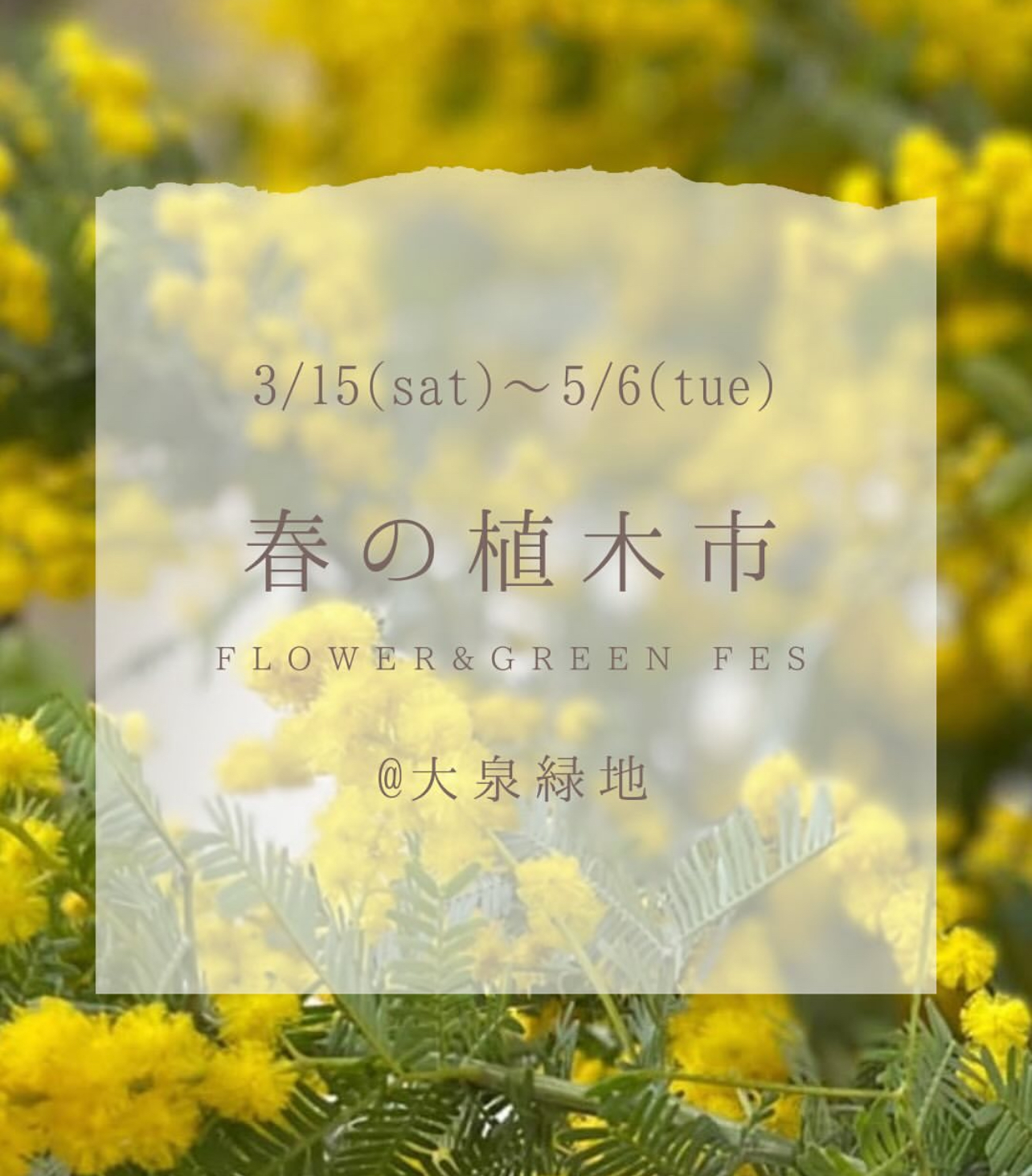 2025.3.15〜春の植木市を開催します。
