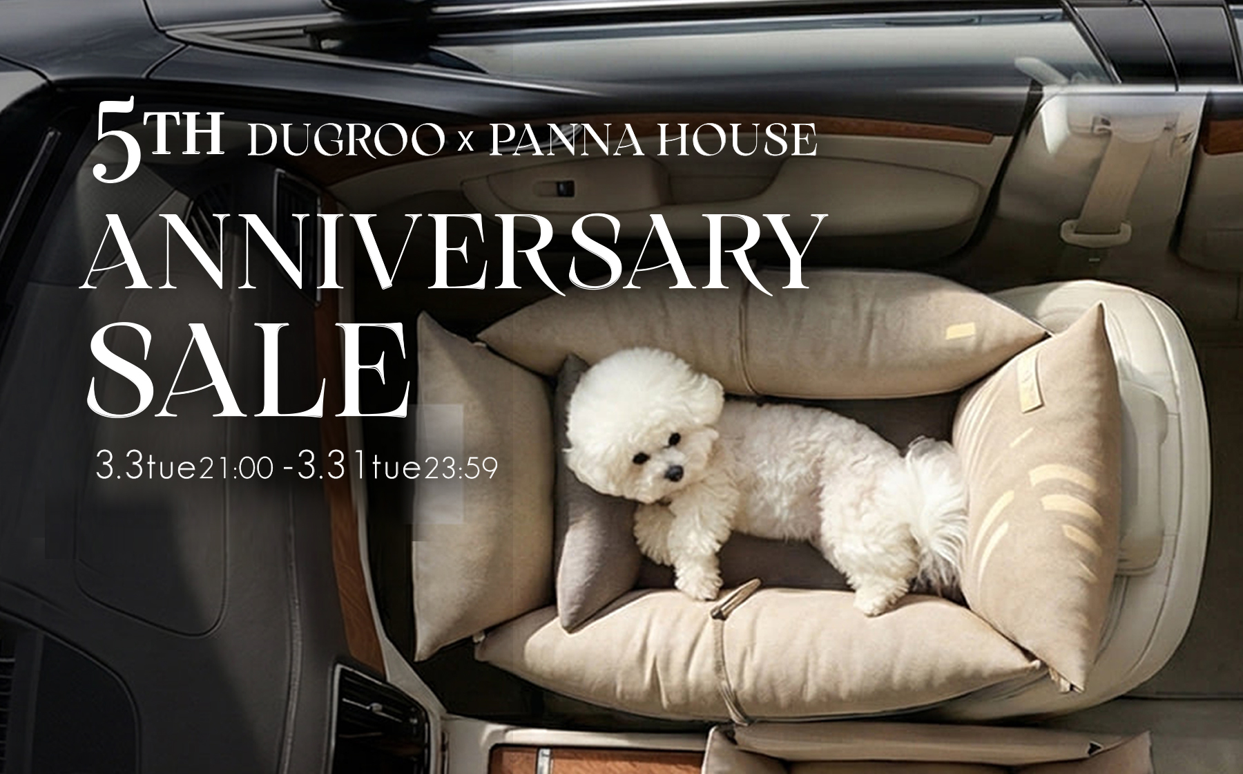 Panna House × Dugroo  5周年特別SALE開催✨ / 3月31日 23:59まで