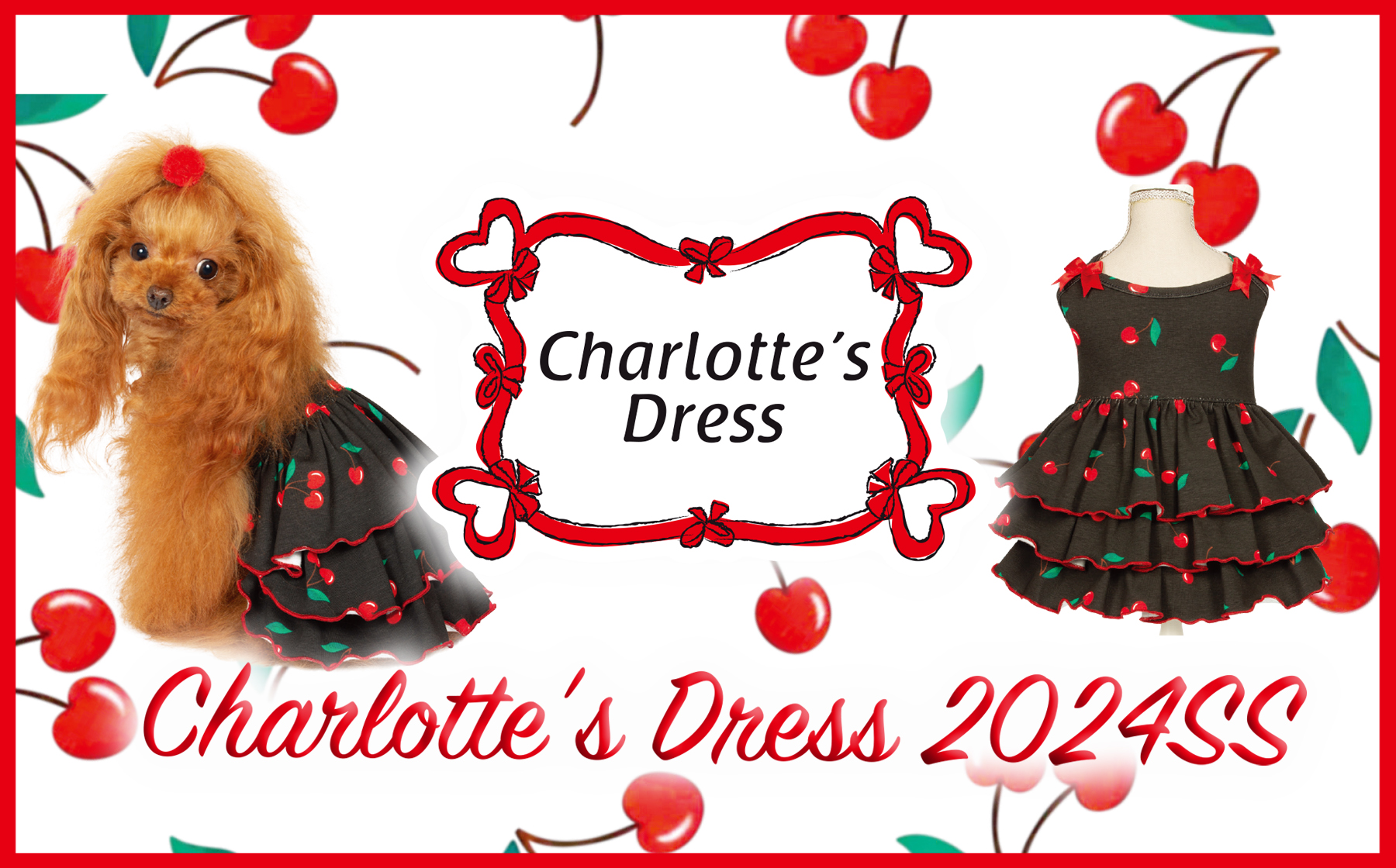 Charlotte's Dress 2024SS 新作 発売開始！