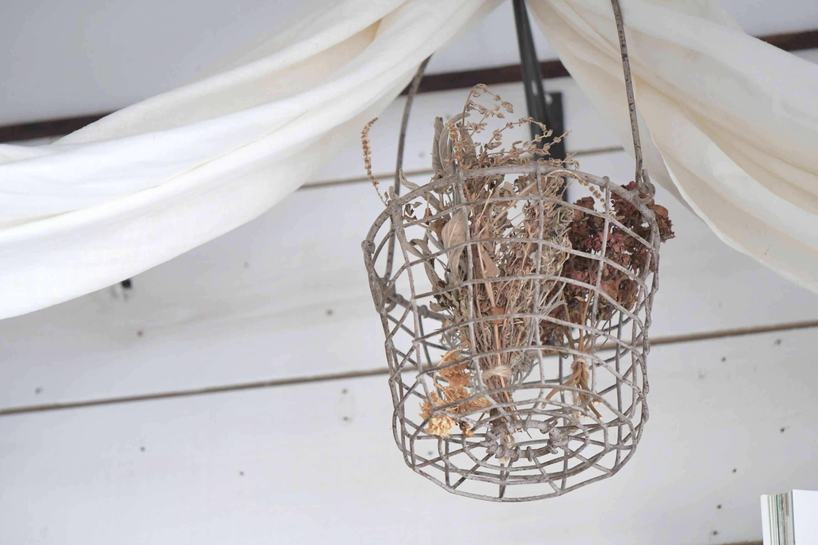 pop up schedule in 2025 - 2026