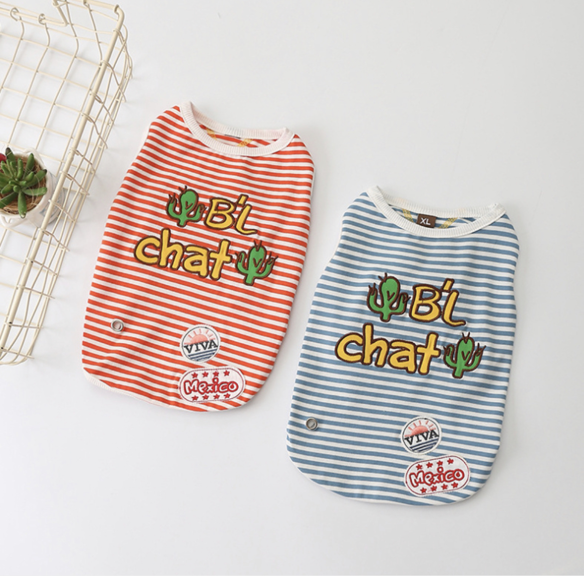 【予約】新商品🏝
