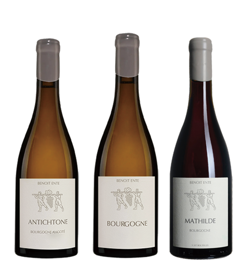 【ワイン】ブノワ・アント