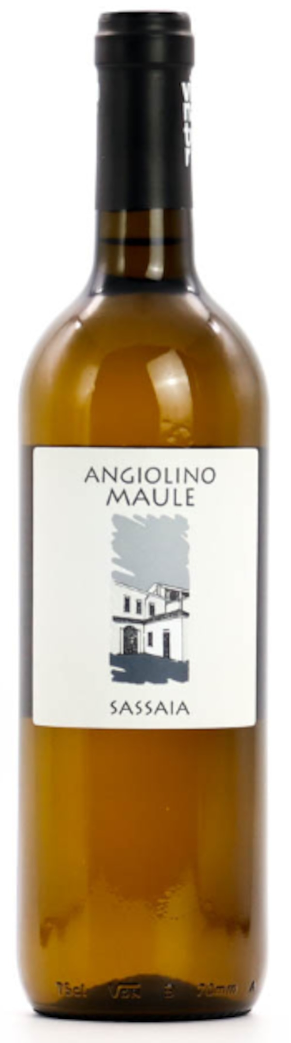 【ワイン】ラ･ビアンカーラのサッサイア2023入荷案内の件