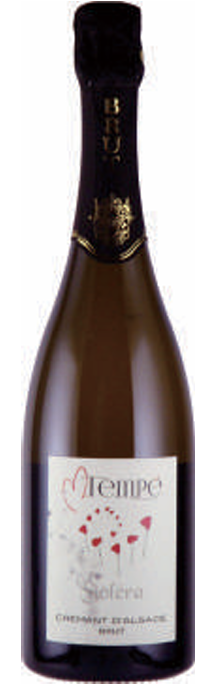 【ワイン】マルク・テンペのクレマン・ダルザス