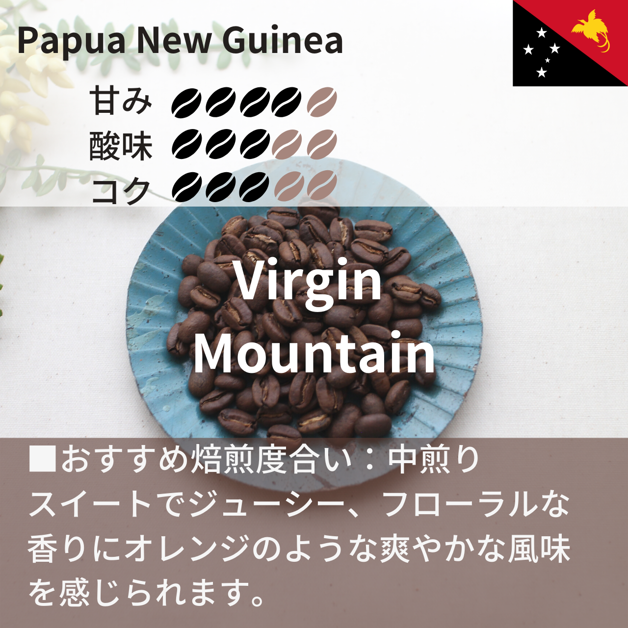 【新商品】パプアニューギニア  ヴァージンマウンテン