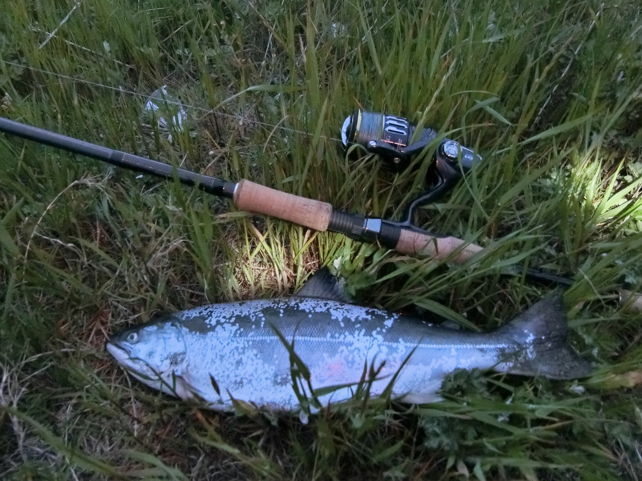 え？まだまだ続くよ、釣果報告