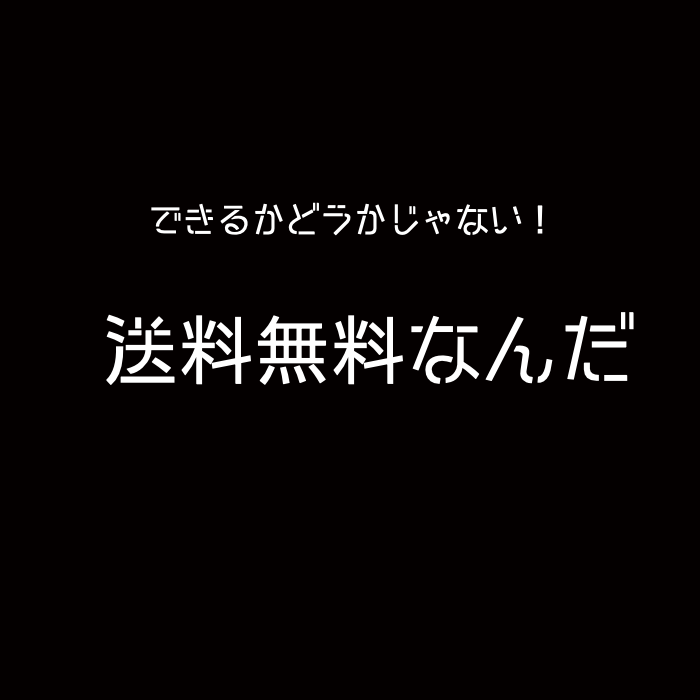 〜送料無料やってます〜