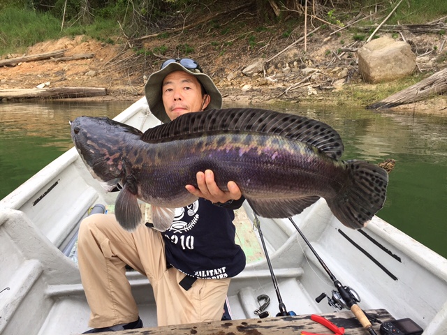 釣果報告〜眞田さんのボルネオ遠征