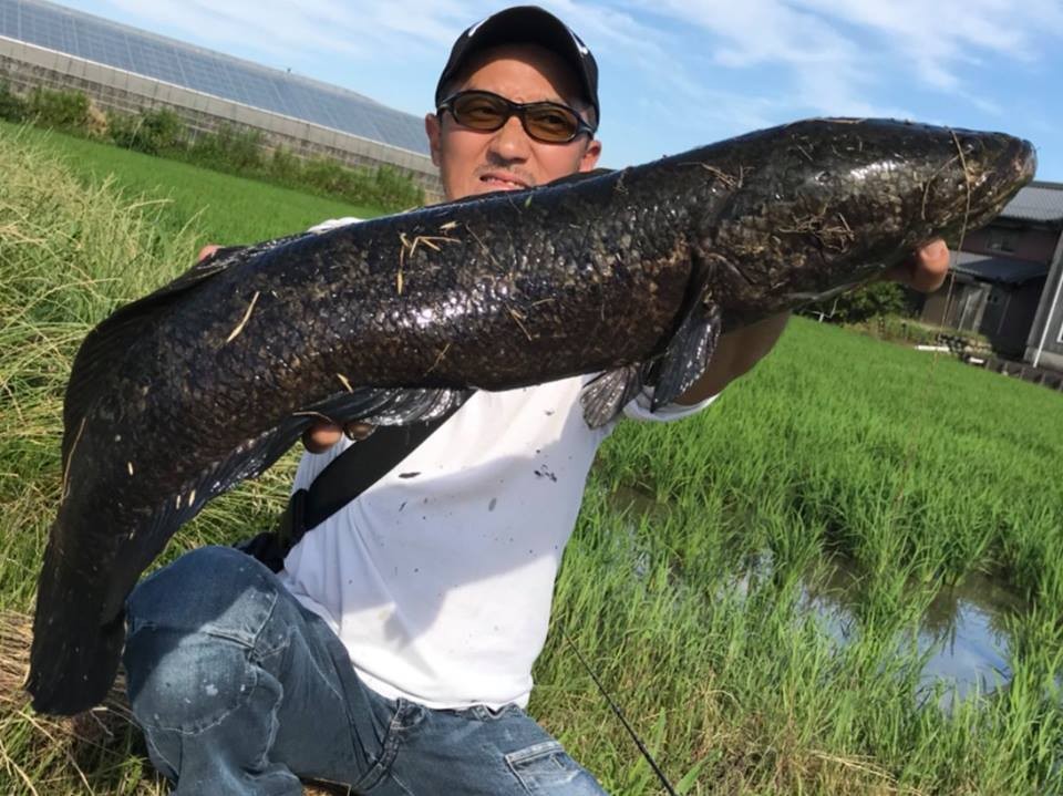 釣果報告〜ロックフィッシュ編