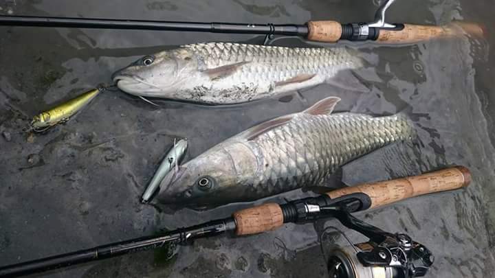 釣果報告〜台湾ユーザー編