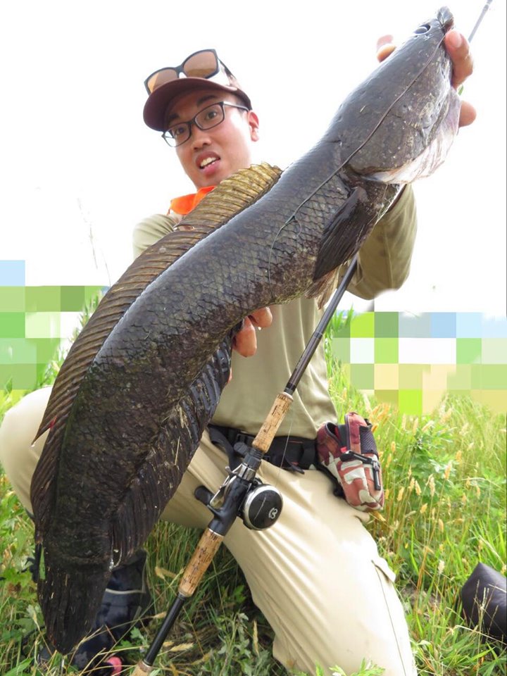 釣果報告いってみよか〜雷魚遠征編