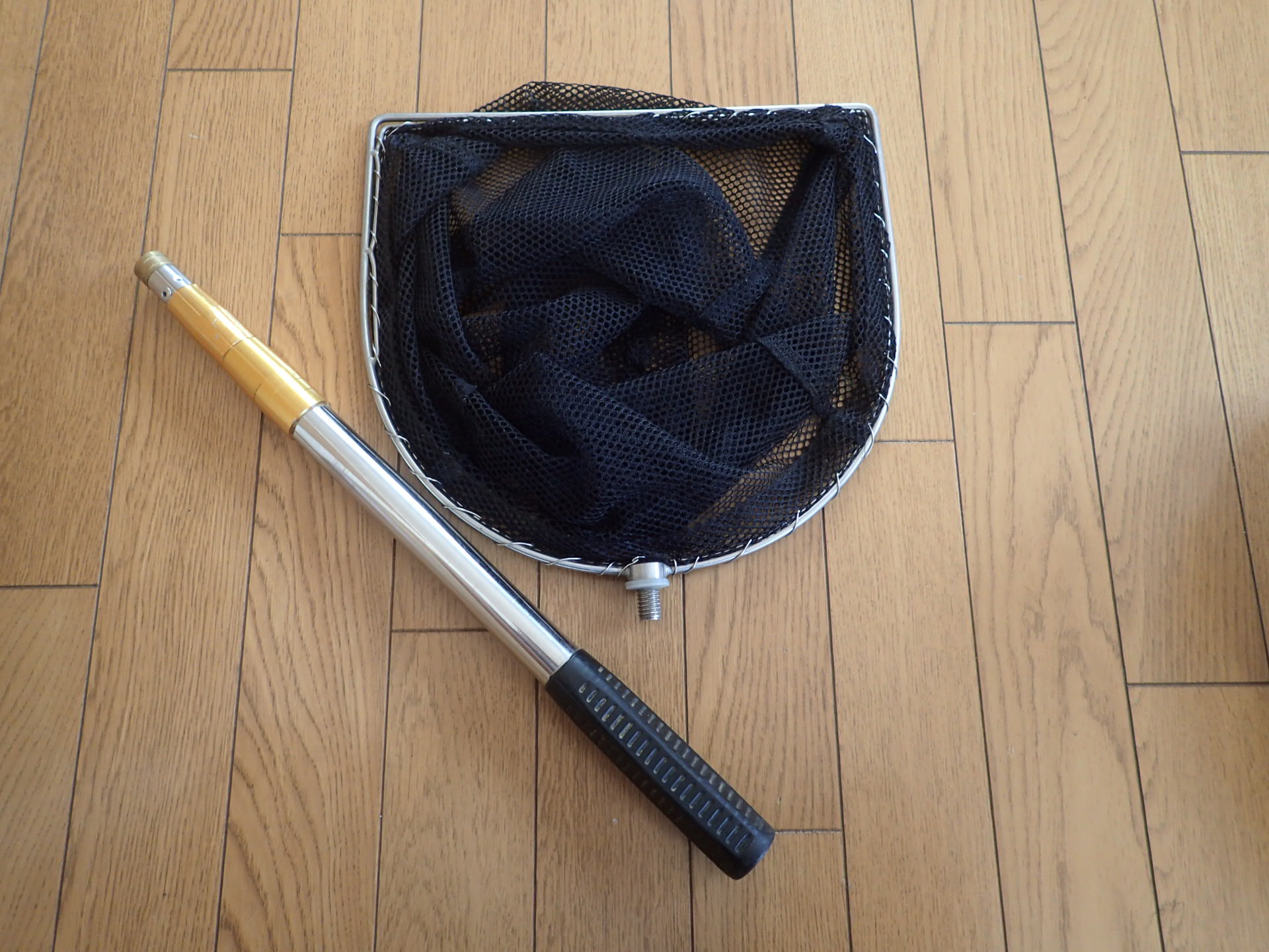 取り扱い開始します